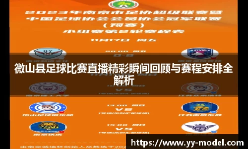 微山县足球比赛直播精彩瞬间回顾与赛程安排全解析